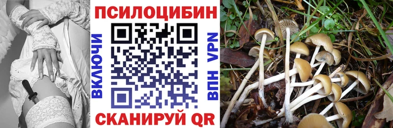 Псилоцибиновые грибы Magic Shrooms  ссылка на мегу сайт  Новомосковск 