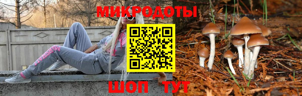 Новомосковск  Псилоцибиновые грибы Psilocybine cubensis  Псилоцибиновые грибы мицелий  Вход с VPN 