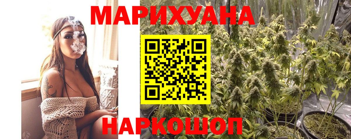 Новомосковск  Каннабис ГИДРОПОН  Вход с VPN  Каннабис Amnesia  Каннабис планчик 